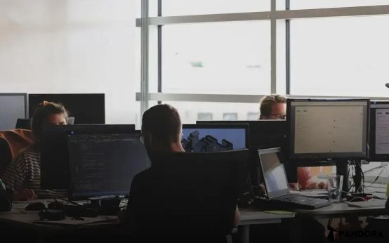 The Role of Mentorship in Career Transitions: Key Insights
